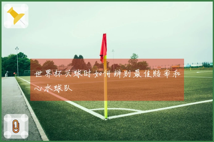 世界杯买球时如何辨别最佳赔率和心水球队