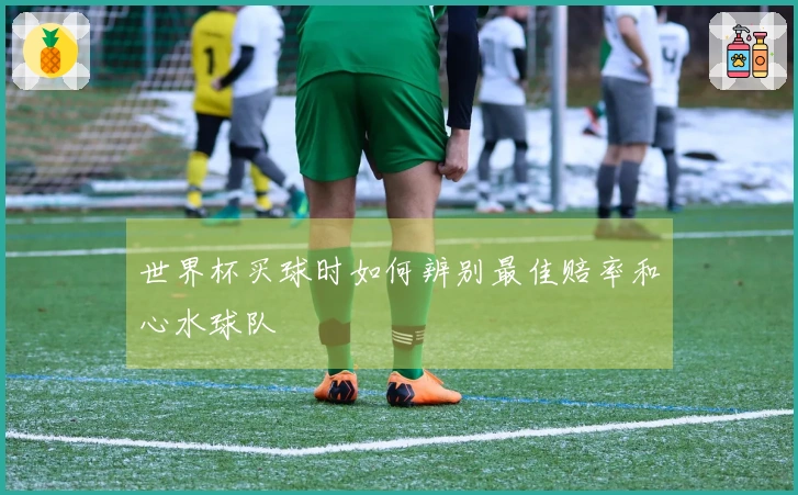 世界杯买球时如何辨别最佳赔率和心水球队