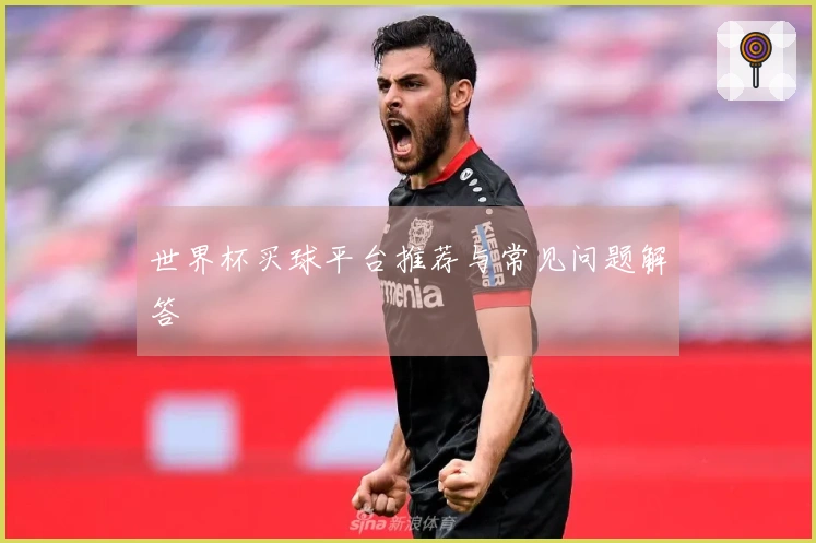 世界杯买球平台推荐与常见问题解答